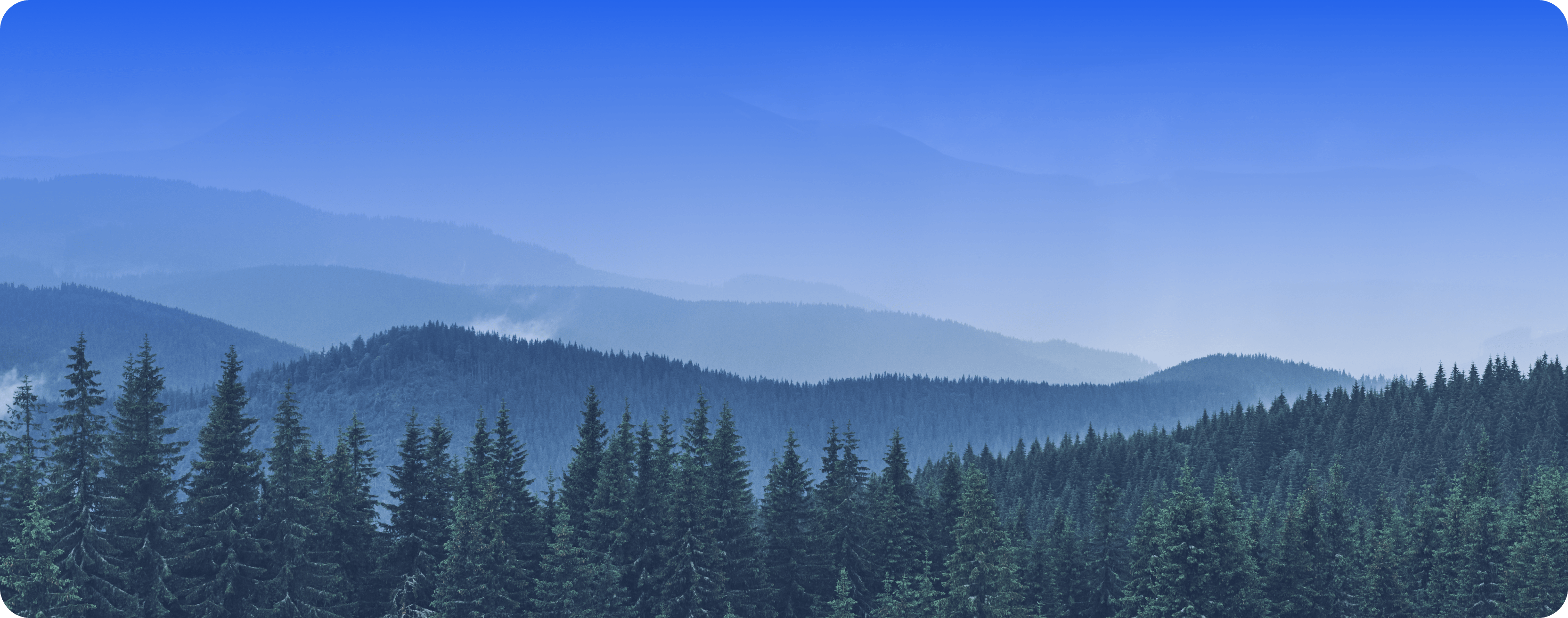 Вид с мобильного устройства. Кейс разработки web-сервиса для гос ассоциации / Adm