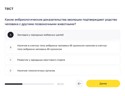 Обучающий блок в MVP образовательной онлайн-платформы, кейс разработки от Adm